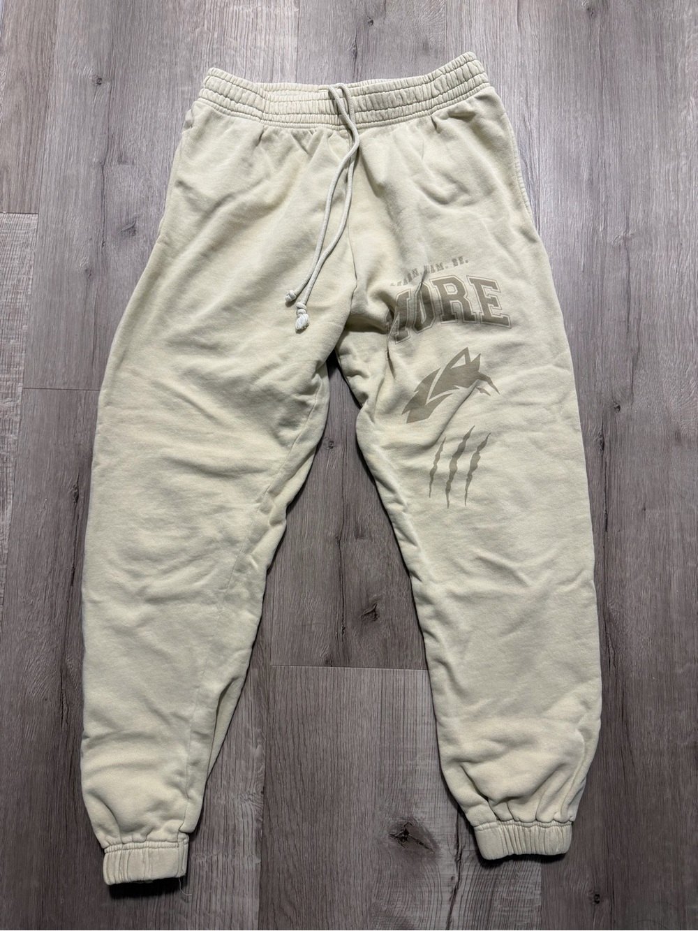 Alphalete Earth dye graphic jogger - shell color - men's size medium